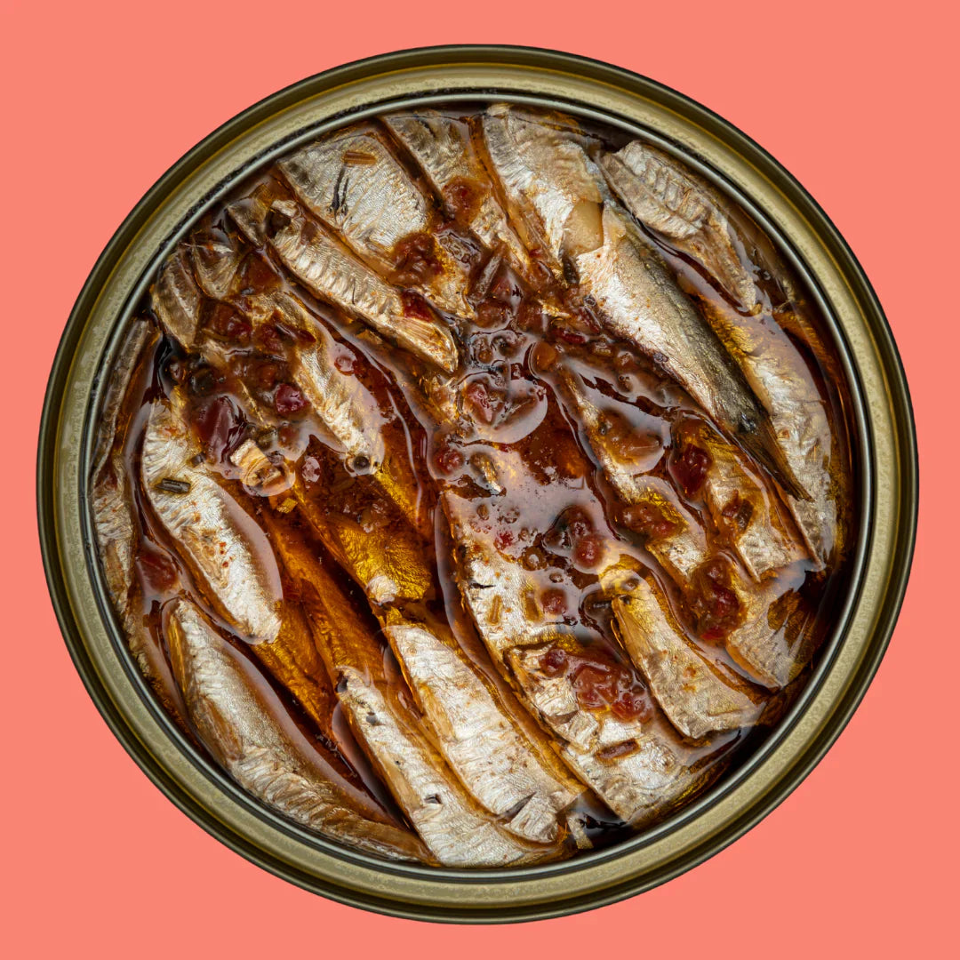 Premium Tinned Sardines, Anchovies, Mackerel and more