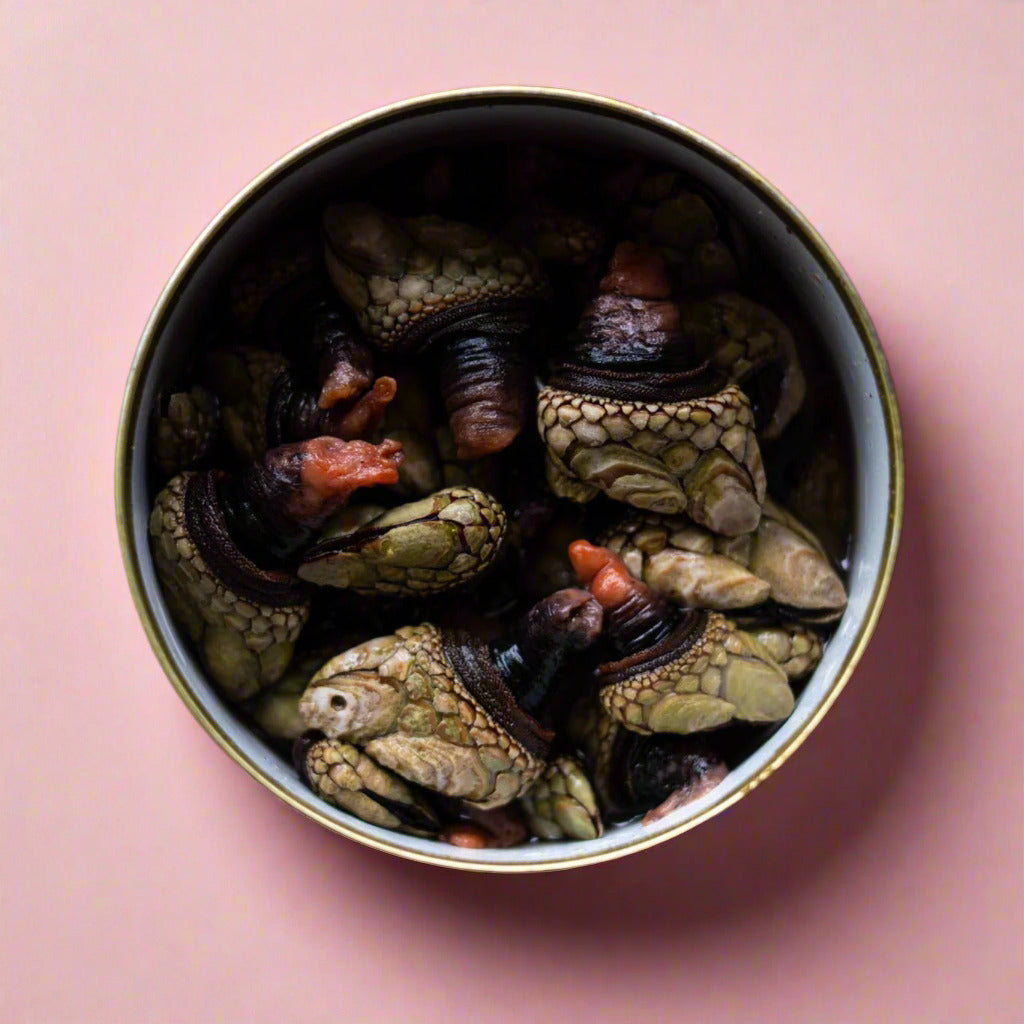 Gooseneck Barnacles in Brine (Reserve), Wildfish Cannery, Alaska, by photojournalist Bethany Goodrich